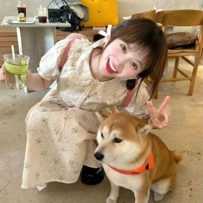 画舫情歌